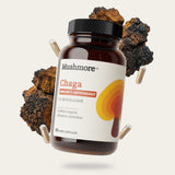 Chaga