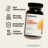 Chaga